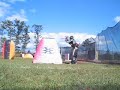 pball