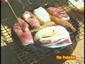 www.7vn.com