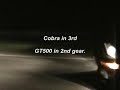 gt500 vs. 03cobra