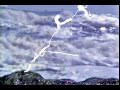 La Gaviota que Desaparece