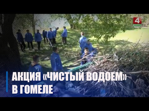 Гомельские экологи и участники ежегодной акции «Чистый водоем» заявили, что у гомельчан повысился уровень культуры видео