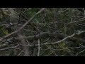 Lusine - Still Frame: Doug Seay