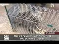 LA FUEVA 2/6  Sin ir m�s lejos.