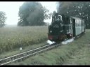 Pollo zwischen Klenzenhof und Mesendorf