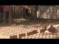 videos de Toubabou in Mali