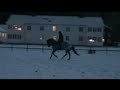 En dag p� banen