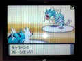 ?6?????????[????vs????]