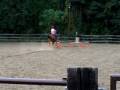 videos de Molly runs keyhole