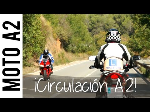 Imagen de previsualización de YouTube