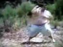 NEW Tapeworm Weight Loss (from least-a-beast technologies)