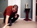 Clicker training - new lab puppy