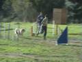 angoon jumping la valette