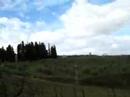 En velo dans la region de Chianti