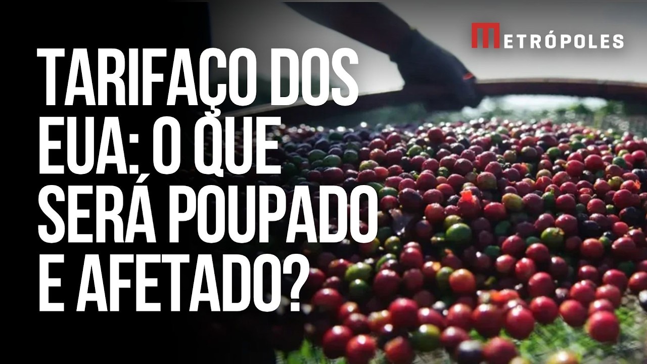 Veja quais setores brasileiros podem ser mais afetados por tarifa dos EUA