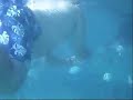 Snorkling at Ramon\