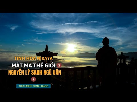 Tinh Hoa NIKAYA - Mật Mã Thế Giới 3 - Nguyên Lý Sanh Ngũ Uẩn 2