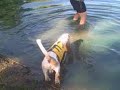 See video