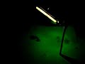 bike neon / fiets neon @ high-tech-web.nl.tt