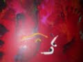 بدر بن عبدالمحسن / راشد الماجد - انفاس