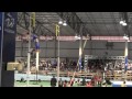 2011 NCAA Men's Pole Vault Championships