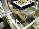 Automated Puzzle Solver Automated Puzzle Solver