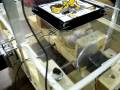 videos de Automated Puzzle Solver