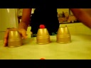 bussolotti