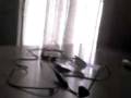 videos de El Mago Pedro 1