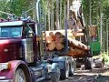 Logging.