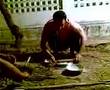 Babbu Making Dinner