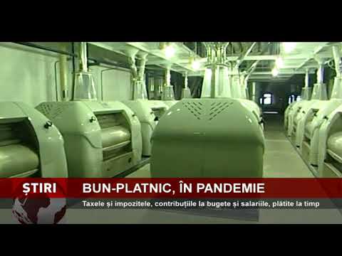 Grupul Transilvania General Import Export - European Drinks&Food, bun-platnic la bugetul de stat