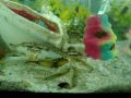 Marine Environmental Studies First Day Inside Part 2