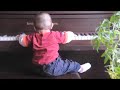Baby Bach.MOV