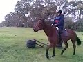 Jumping Chief... Kind of... lol Jumping Chief... Kind of... lol