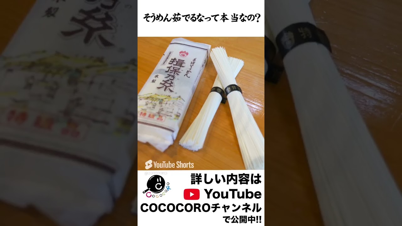 動画1