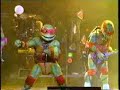 Turtlecore