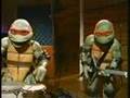 Turtlecore