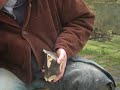 D�monstration de taille de silex