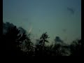 Comet McNaught