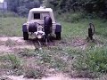 LA SELVA