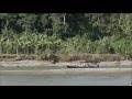 The Bri bri of Costa Rica - YouTube