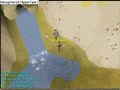 Wildboyz v2 at KBD Wildboyz v2 at KBD