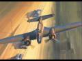 Polish Flyboys