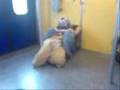 METATUBE SLAPEN IN DE TREIN DANKZIJ HERMAN BROOD
