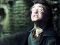 Harry Potter vs. Lord Voldemort