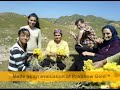 Artvin ?av?at Cevizli K�y� ve Arsiyan Yayla Manzaras? 2007