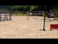 Bambi, 14.2, schoolmistress for sale