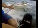 surferas de la ria 3