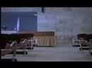 gnomon trailer