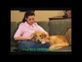 title="Bark